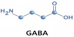 Vì sao sự mất cân bằng nồng độ chất Gaba có thể dẫn đến cơn động kinh