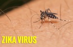Cảnh báo nguy cơ mắc bệnh động kinh do virus Zika