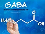 Chất GABA có vai trò như thế nào đối với bệnh động kinh